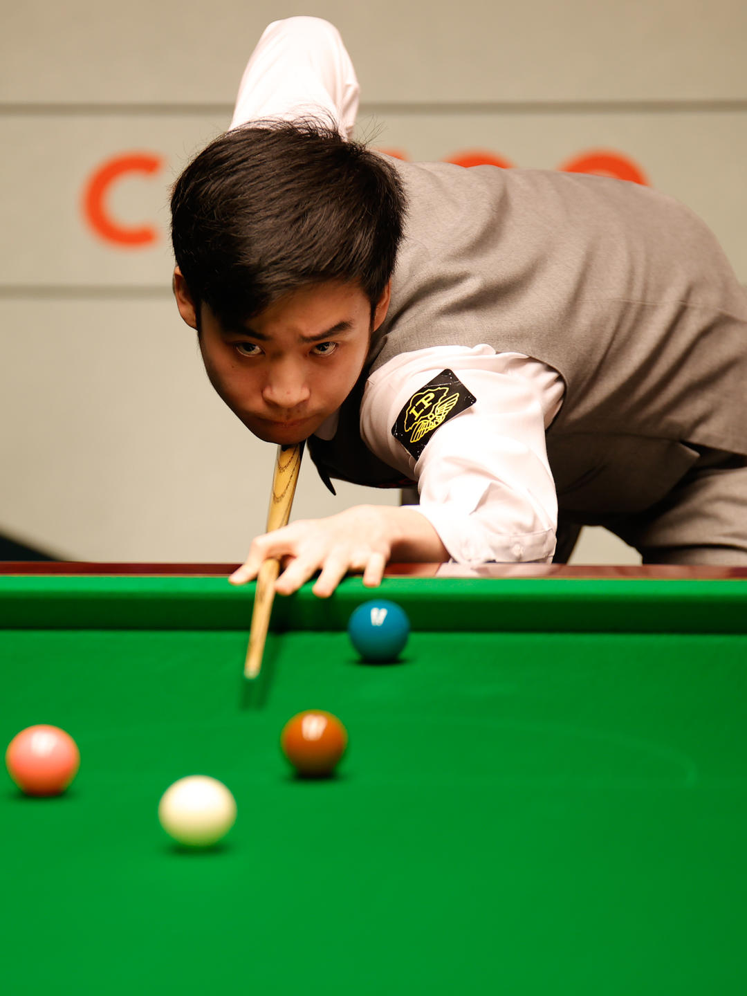 章再生成 章再生成