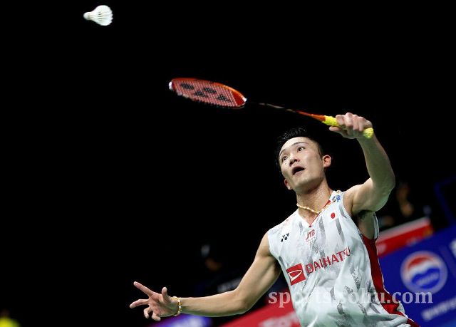 不仅确保了 不仅确保了