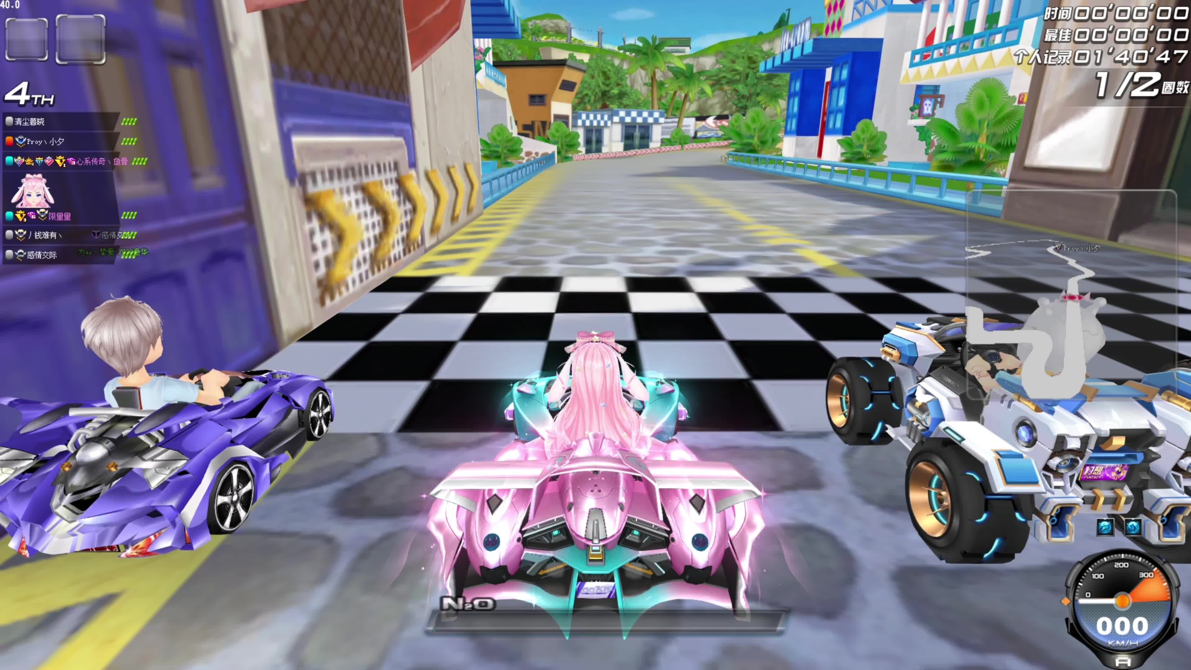 持项目将为 持项目将为