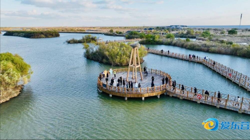 篮球进校园 篮球进校园