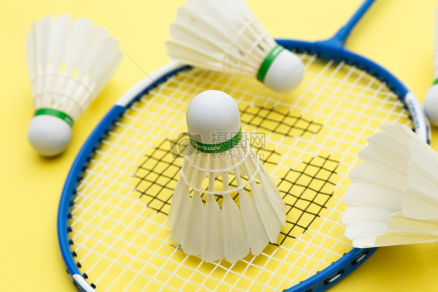 此次世预赛 此次世预赛