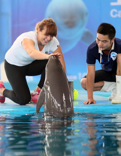 其细腻与果 其细腻与果