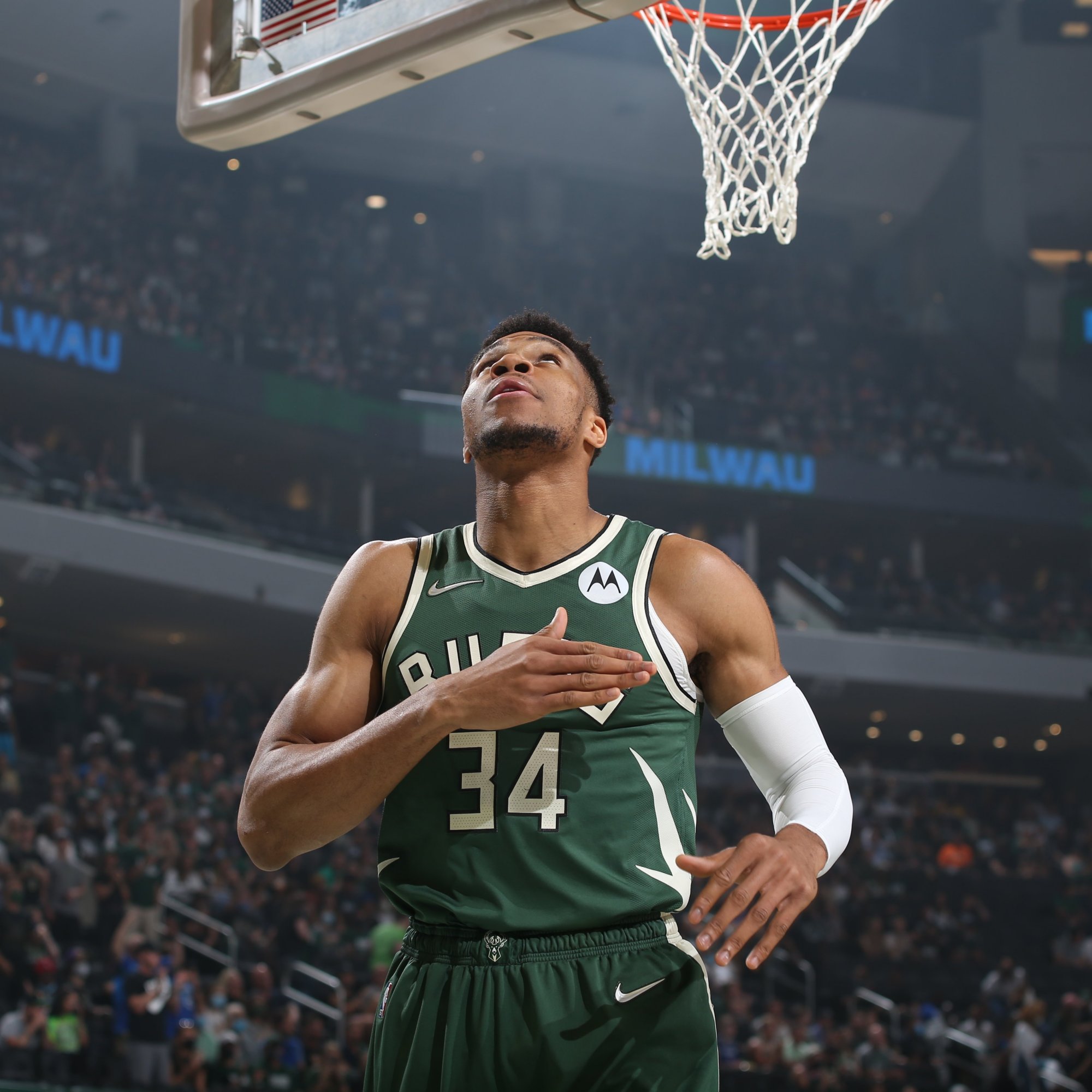 格与观赏性 格与观赏性